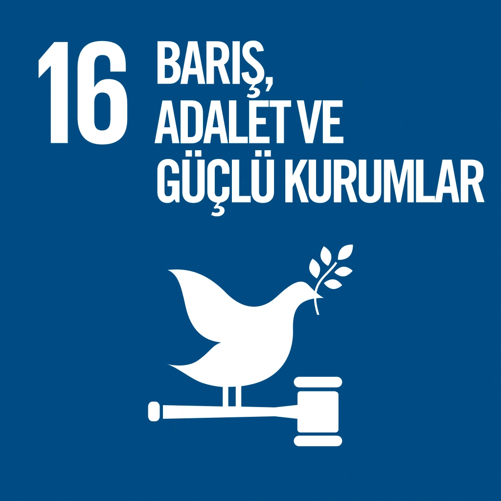 16 - Peace, Justice, and Strong Institutions