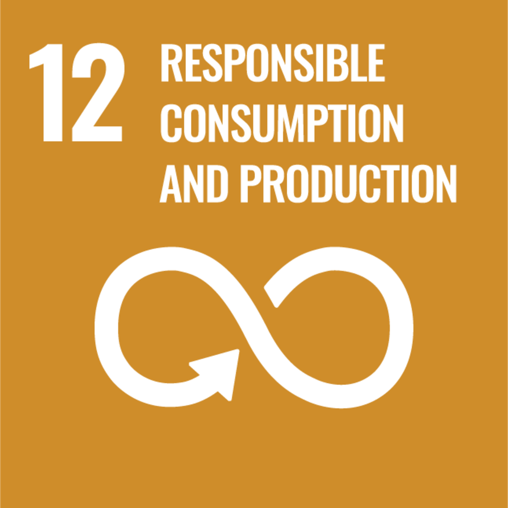 12 - Responsible Consumption and Production