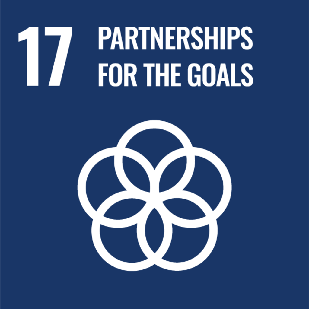 17 - Partnerships for the Goals