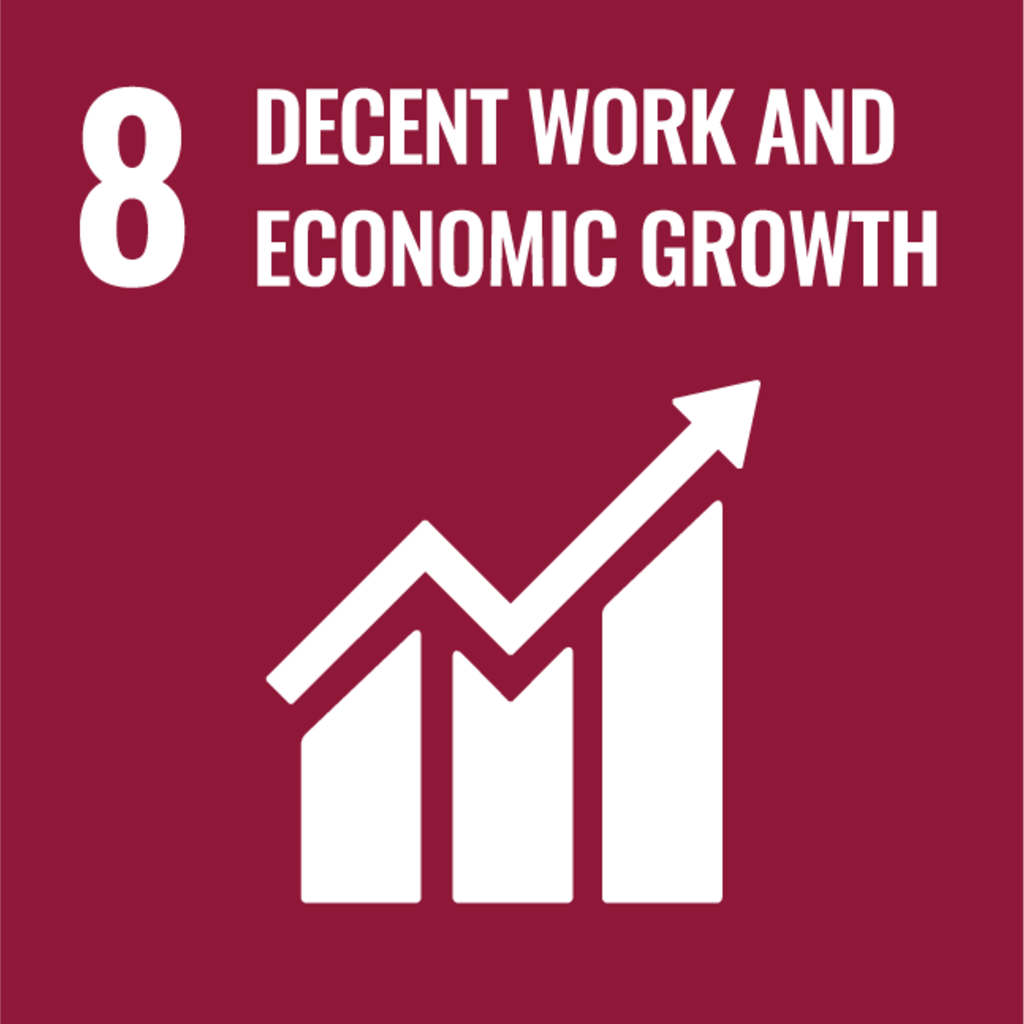 8 - Decent Work and Economic Growth