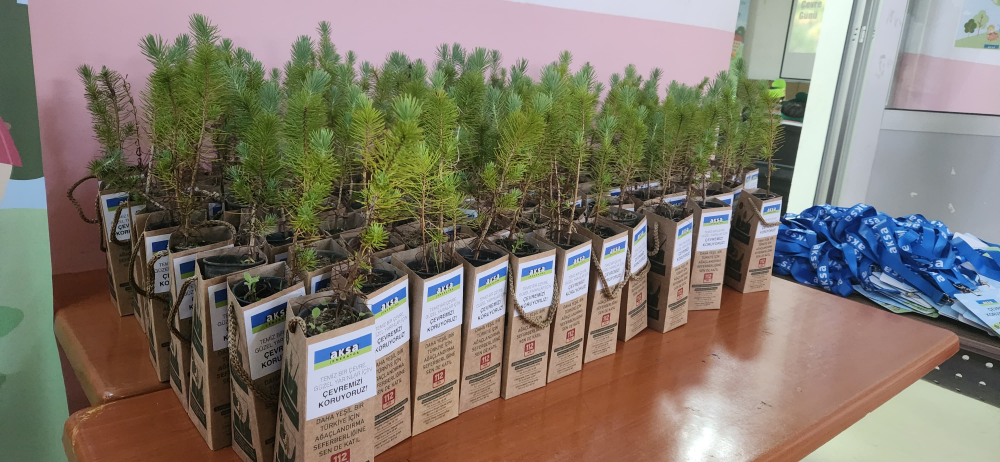 World Environment Day