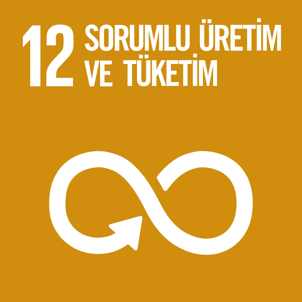 12 - Responsible Consumption and Production