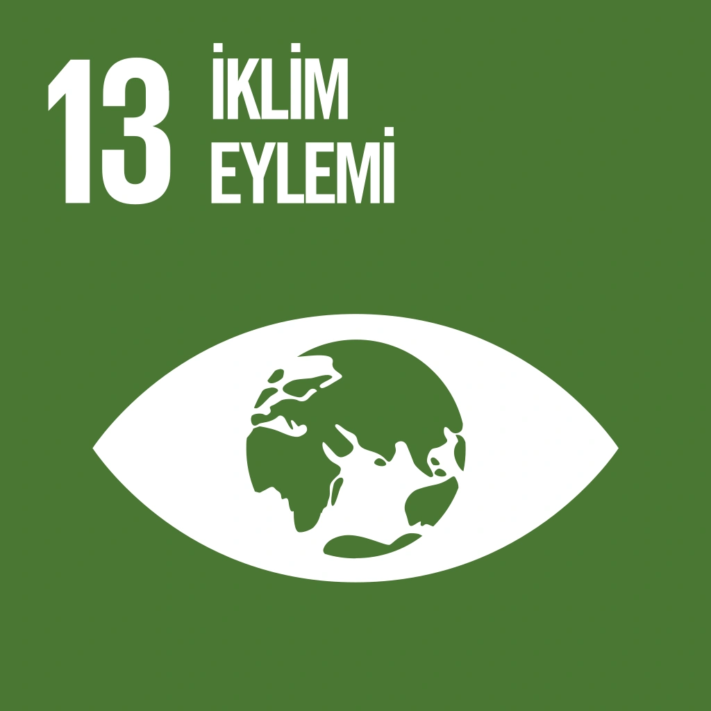 13 - Climate Action