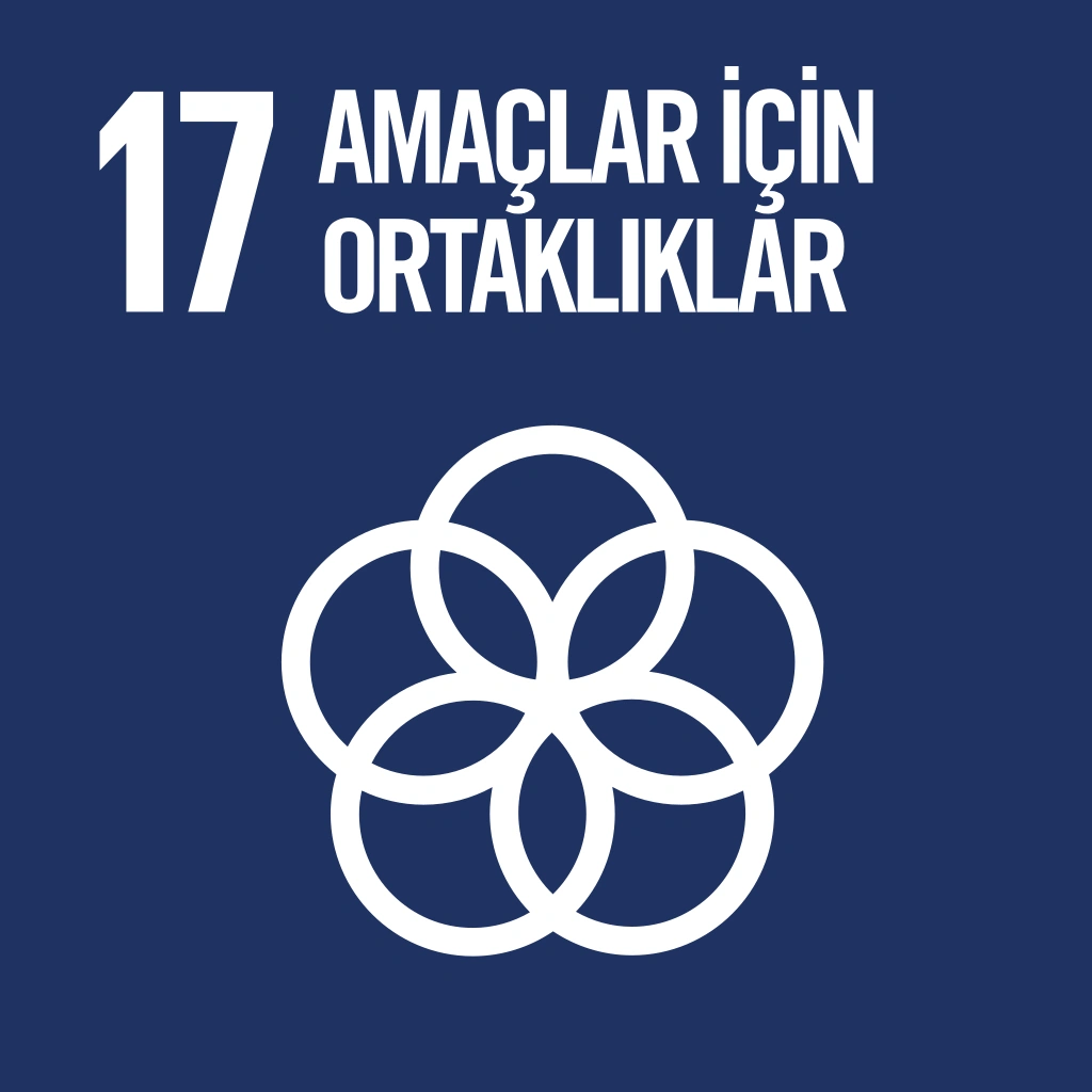 17 - Partnerships for the Goals