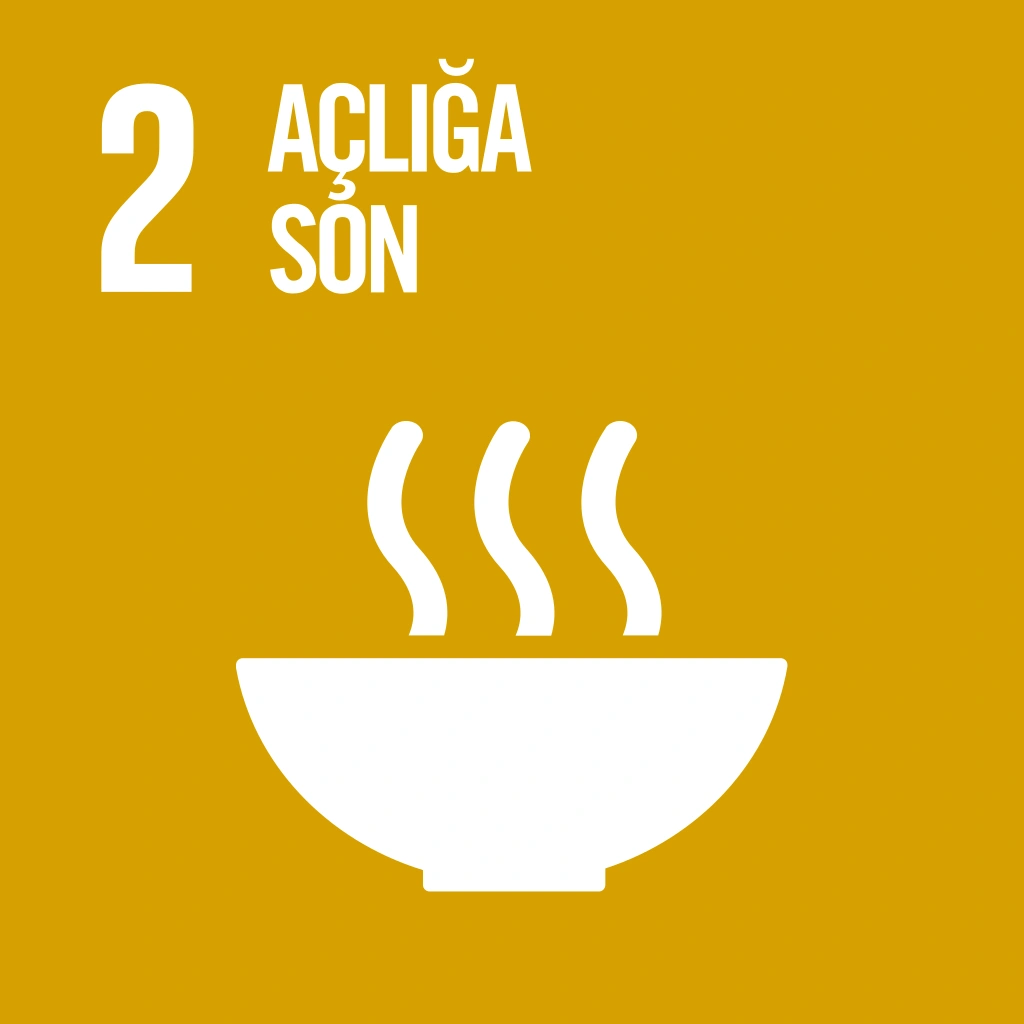 2 - No more Hunger