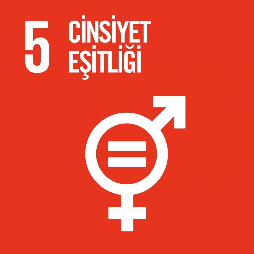 5 - Gender Equality