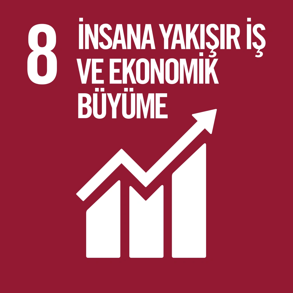 8 - Decent Work and Economic Growth